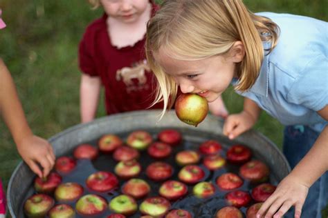 bobbing the apples|alternative to bobbing for apples.